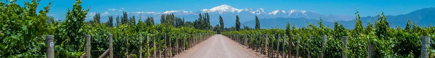 Argentinische Weissweine