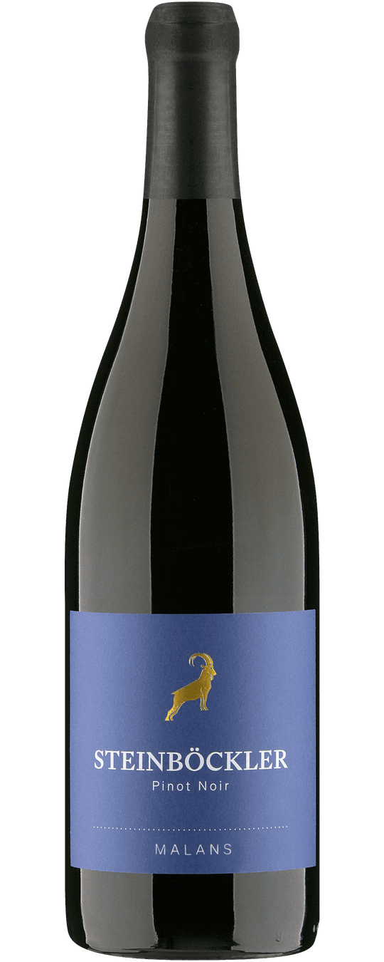 Steinböckler Pinot Noir Malans AOC Graubünden